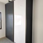 ام . دی .اف فرجی