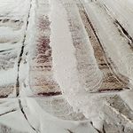 قالیشویی تمام اتوماتیک ذوالفقاری قزوین