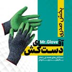 پخش صدری