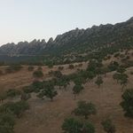 شرکت حمل و نقل تهران عادل غرفه 75