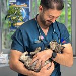 بیمارستان دامپزشکی شبانه روزی درنیکا