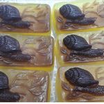 محصولات ارگانیک پوست ومو  حلزون