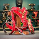 قلاده سگ نوبل پاور