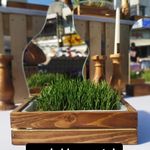 صنایع چوب و کابینت صادقی