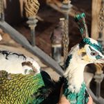 مجموعه اقامتی پذیرایی باغ پرندگان