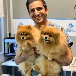 بیمارستان دامپزشکی شبانه روزی درنیکا