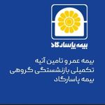 نمایندگی بیمه پاسارگاد تهران کد 72338