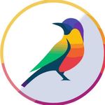 طراحی سایت و برنامهنویسی نگارساز