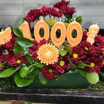 خدمات تخصصی دیزاین، بادکنک آرایی کریمی