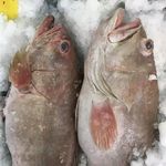 فروشگاه عرضه  مرغ و ماهی طاهری