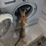 تعمیرات لوازم خانگی ریاحی