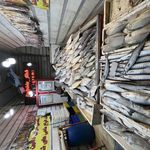 ماهی فروشی دلفین عمده و تک