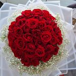 گل بین الملل تبریز