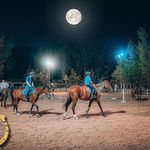 باشگاه سوارکاری اسب ایران