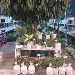 گلخانه رزا