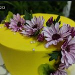آکادمی بین المللی کام ( صدرا )