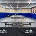 آکادمی پینگ پنگ آرپ