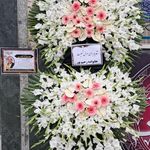 گل فروشی دنیز (آنلاین) -ارسال فوری