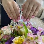 خدمات تخصصی نگین