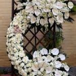 گلفروشی بهاره