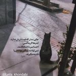 لیلا خندابی روانشناس بالینی مشاور زوج