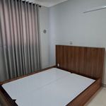 ام . دی .اف فرجی