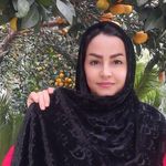 فروش آنلاین شال و روسری ایپک اسکارف