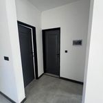 کارگزاری ملکی دقیق