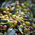 فروشگاه زیتون و روغن زیتون اصل فرابکر