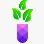 داروخانه دکتر محمدعلی جلالی طلب