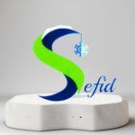 شوینده بهداشتی سفید