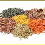 ادویه و غلات و عرقیجات 2020