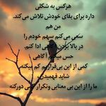 دفتر روانشناسی نورا