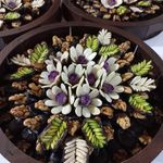 خرماهای مدرن و حلوا شیرینکده الی