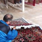قالیشویی لاله صحرارودهن