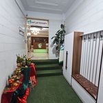 کاردرمانی و گفتاردرمانی محمدی (بامداد )