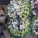 گل فروشی دنیز آنلاین (شعبه 2)