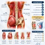 هتل آپارتمان آراد( سعادت آباد)کافی شاپ