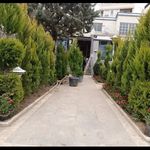خدمات باغبانی گلکاری محمدی