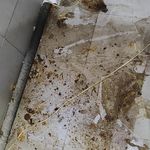 عجم تجارت آریا