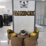 باشگاه ورزشی بانوان گندم