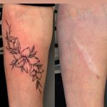 نیلان بیوتی