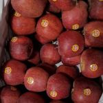 دفتر بازرگانی اِروس