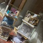 گالری ماهنیز