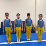 مدرسه ژیمناستیک ماهانا