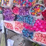 گل و گلدان محمد