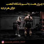 باشگاه بدنسازی ایده آل +