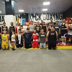 کلاب بوکس شاهین