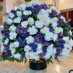 گل فروشی آندیا (شعبه یک)