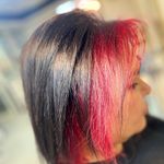 رنگ و لایت ژیلا امیری